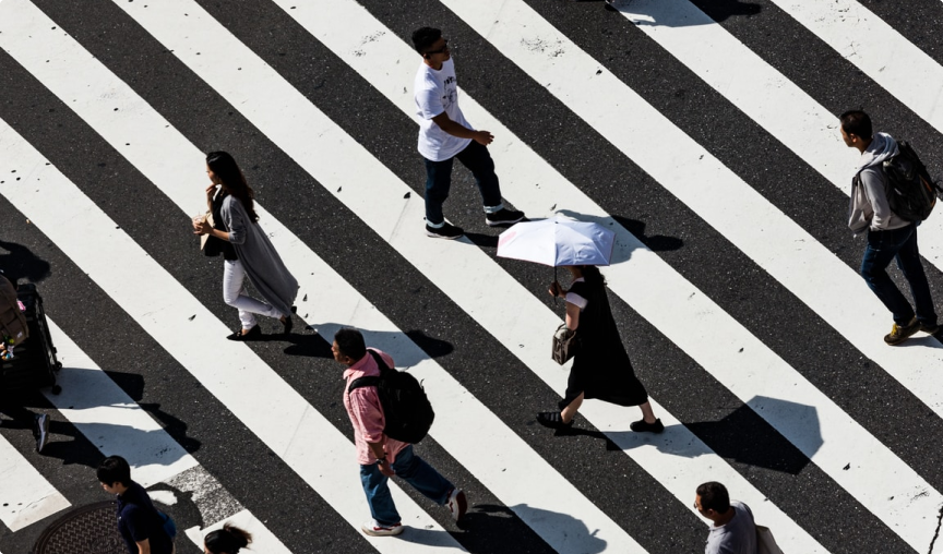 zebra_crossing